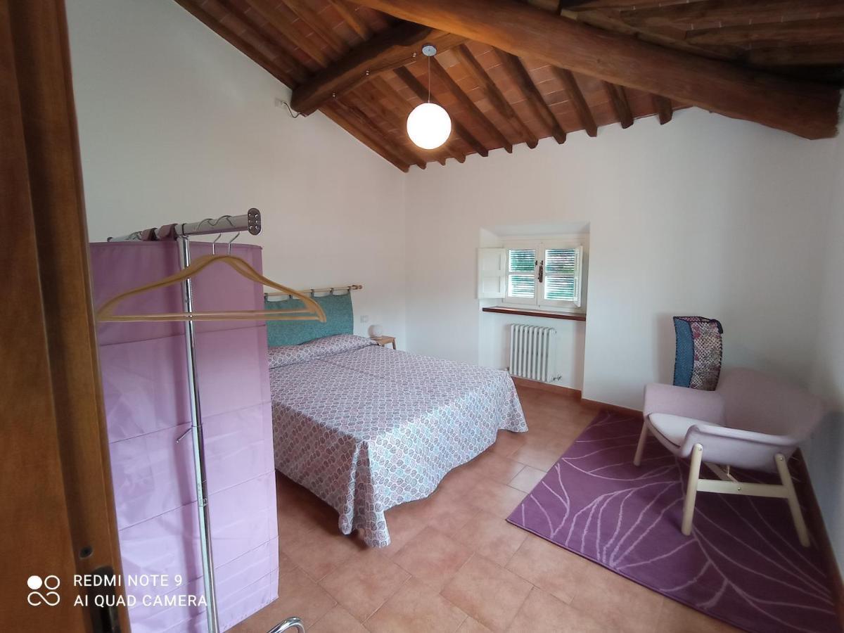 La Terrazza Del Vecchio Mulino Apartment Sant'Andrea di Compito Exterior photo